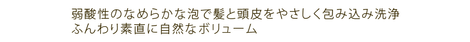 弱酸性のなめらかな泡で髪と頭皮をやさしく包み込み洗浄。ふんわり素直に自然なボリューム